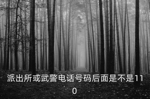 派出所或武警電話號碼后面是不是110