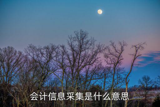 會計采集信息，會計信息采集是什么意思