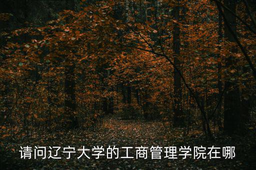 遼寧大學(xué)商學(xué)院，請(qǐng)問遼寧大學(xué)的工商管理學(xué)院在哪