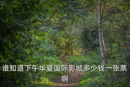 誰知道下午華夏國際影城多少錢一張票啊