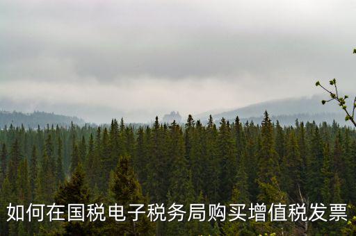如何在國(guó)稅電子稅務(wù)局購(gòu)買增值稅發(fā)票