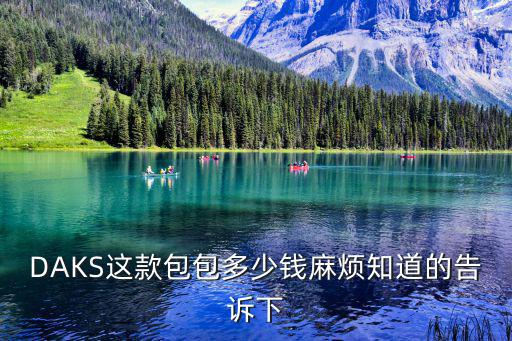 DAKS這款包包多少錢麻煩知道的告訴下