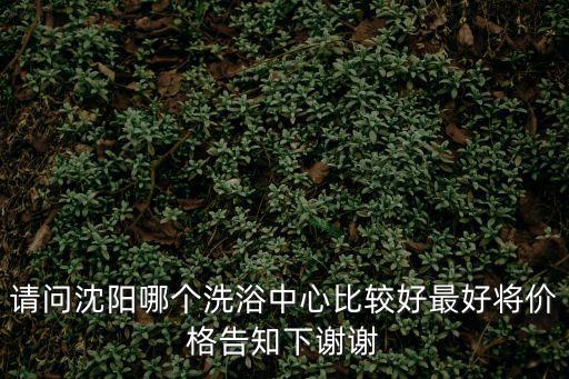 請問沈陽哪個洗浴中心比較好最好將價格告知下謝謝