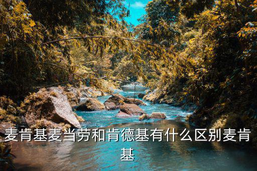 麥肯基麥當勞和肯德基有什么區別麥肯基