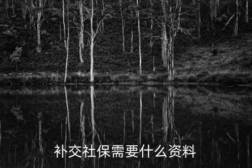 補交社保需要什么資料