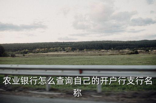 農業銀行怎么查詢自己的開戶行支行名稱