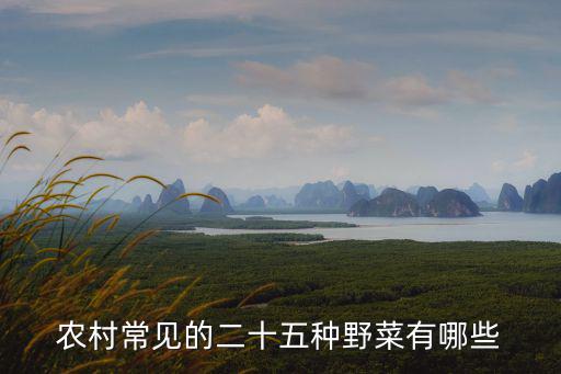 農(nóng)村常見的二十五種野菜有哪些