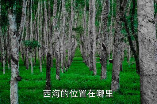 西海的位置在哪里