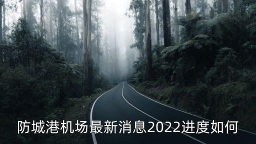 防城港機(jī)場最新消息2022進(jìn)度如何