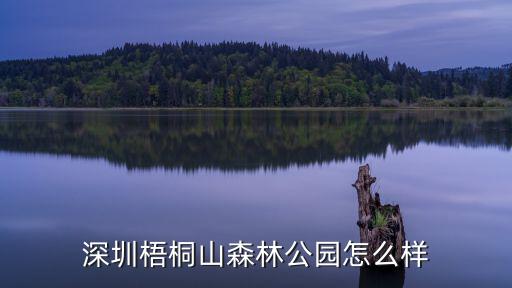 深圳梧桐山森林公園怎么樣