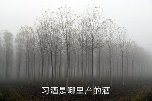 習酒是哪里產的酒