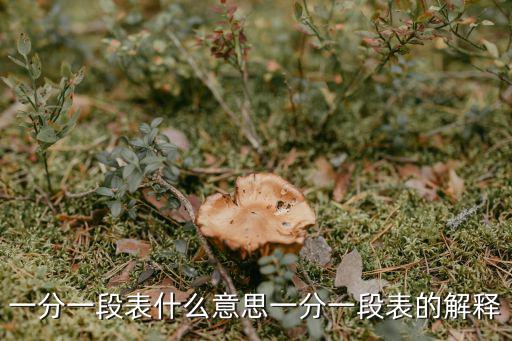一分一段表什么意思一分一段表的解釋