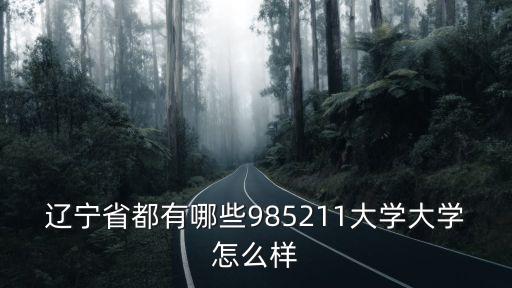 遼寧省都有哪些985211大學大學怎么樣