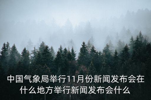 中國氣象局舉行11月份新聞發布會在什么地方舉行新聞發布會什么