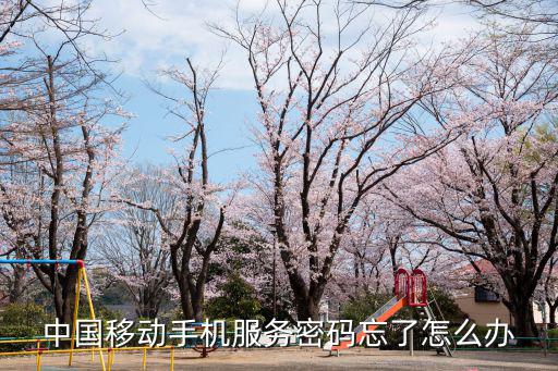 中國移動服務密碼忘了怎么辦，移動手機服務密碼是什么忘記密碼怎么辦