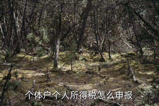 個體戶個人所得稅怎么申報