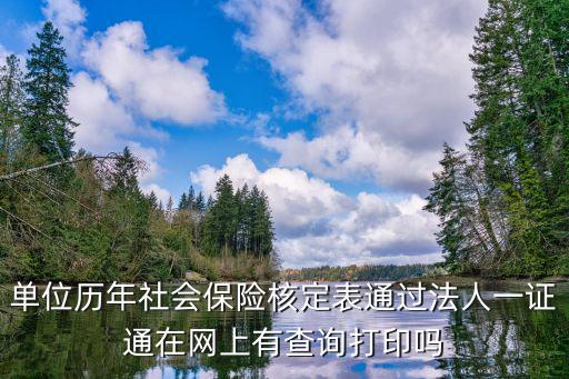 單位歷年社會保險核定表通過法人一證通在網上有查詢打印嗎
