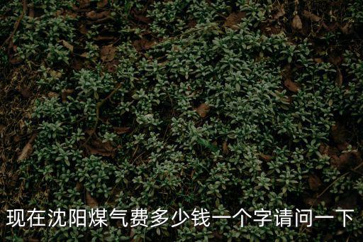 沈陽燃氣，現在沈陽煤氣費多少錢一個字請問一下