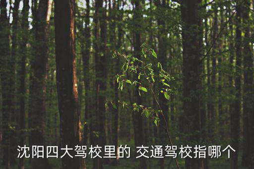 沈陽交通駕校，沈陽交通駕校怎么樣