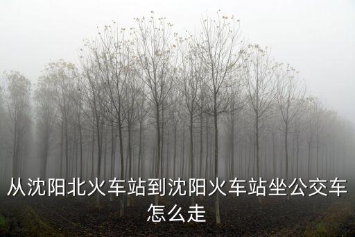 沈陽北站到沈陽站，沈陽北到沈陽站做多少路公交車