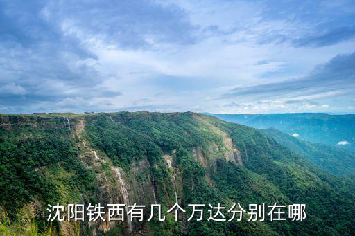 沈陽鐵西有幾個萬達分別在哪
