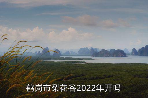 鶴崗市梨花谷2022年開嗎
