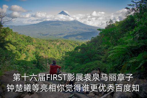 first影展，first person vision 是什么意思