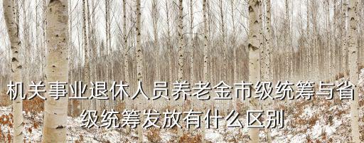 機關事業退休人員養老金市級統籌與省級統籌發放有什么區別