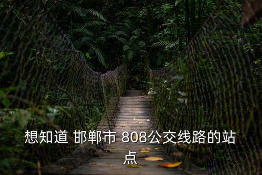 808公交車路線，天津津南808公交車各站名