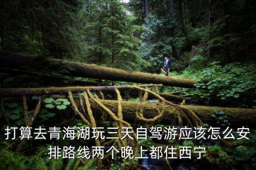 打算去青海湖玩三天自駕游應該怎么安排路線兩個晚上都住西寧