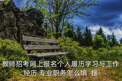 教師招考網上報名個人履歷學習與工作經歷 專業職務怎么填  搜