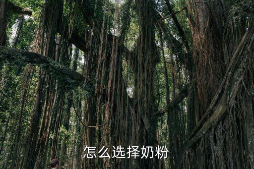 怎樣選擇奶粉，如何選擇奶粉