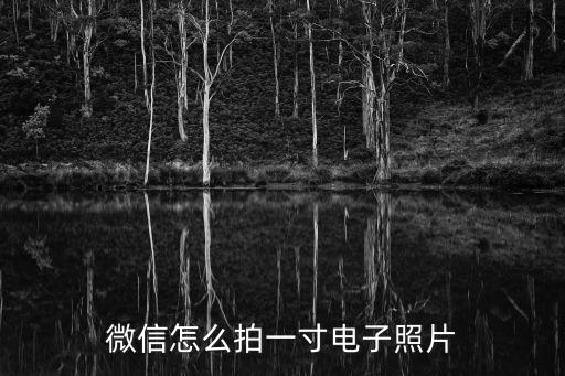 微信怎么拍一寸電子照片
