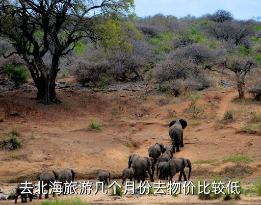 去北海旅游幾個月份去物價比較低