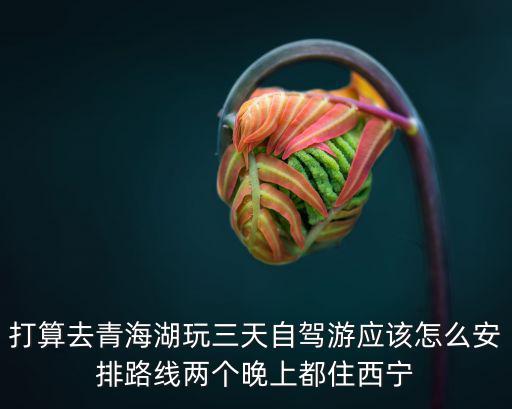 打算去青海湖玩三天自駕游應(yīng)該怎么安排路線兩個(gè)晚上都住西寧