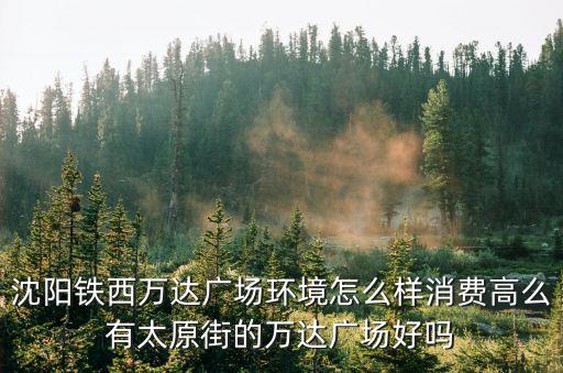 沈陽鐵西萬達廣場環境怎么樣消費高么有太原街的萬達廣場好嗎