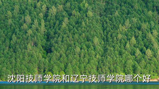 沈陽技師學院和遼寧技師學院哪個好