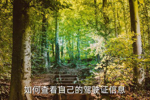 查詢駕駛證，網(wǎng)上能查駕駛證嗎