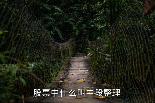 股票中什么叫中段整理