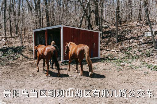 貴陽烏當區到觀山湖區有那幾路公交車