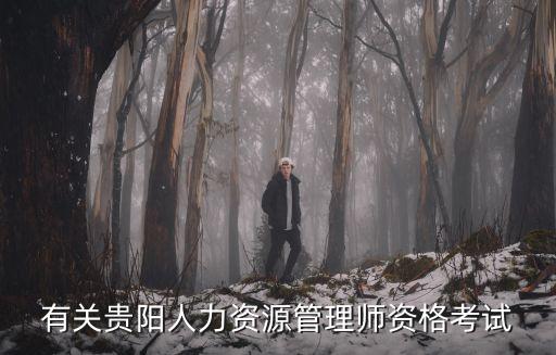 貴陽人力，貴陽人力資源開發是國家項目嗎
