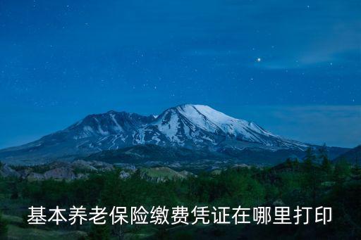 基本養老保險繳費憑證在哪里打印