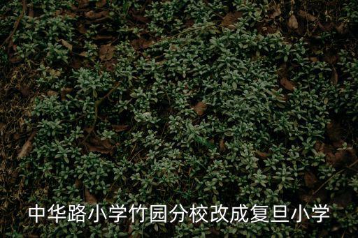 中華路小學竹園分校改成復旦小學