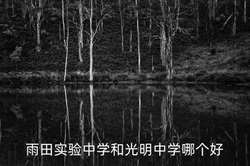 雨田實驗中學和光明中學哪個好