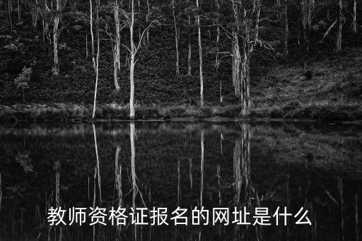 教師資格證報(bào)名的網(wǎng)址是什么