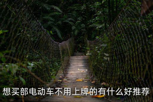 想買部電動車不用上牌的有什么好推薦
