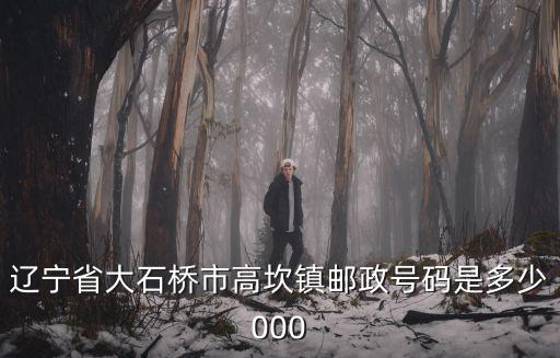 遼寧省大石橋市高坎鎮郵政號碼是多少000