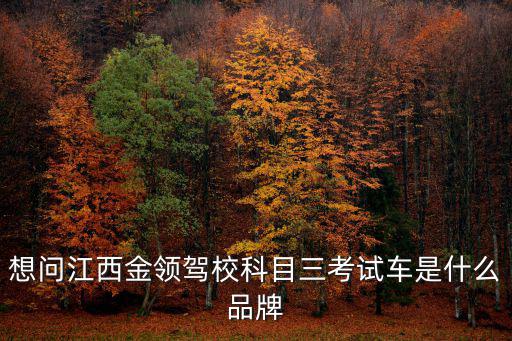 金領駕校，江西金領科目三考場在新建區哪