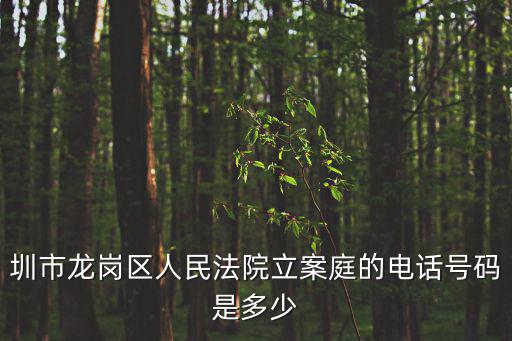 圳市龍崗區人民法院立案庭的電話號碼是多少
