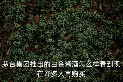 茅臺白金醬酒，茅臺白金酒多少錢一瓶
